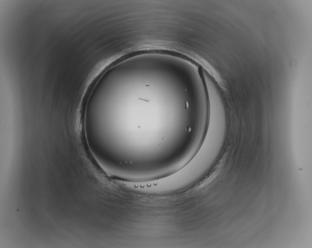 X0000111240885200907021409