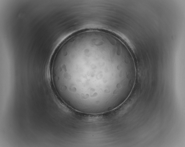 X0000111240887200907021409