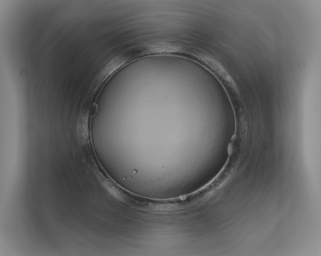 X0000111240889200907021409