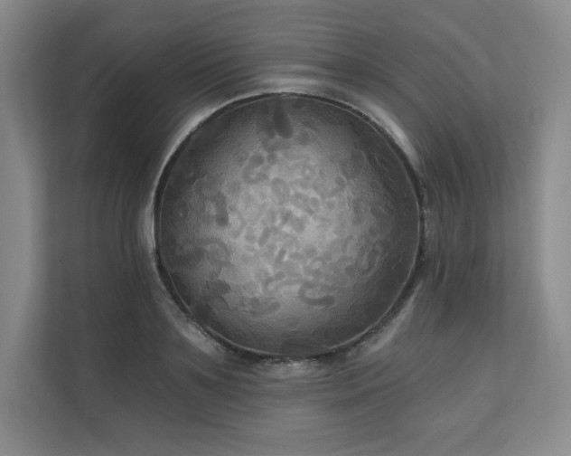 X0000111240891200907021409