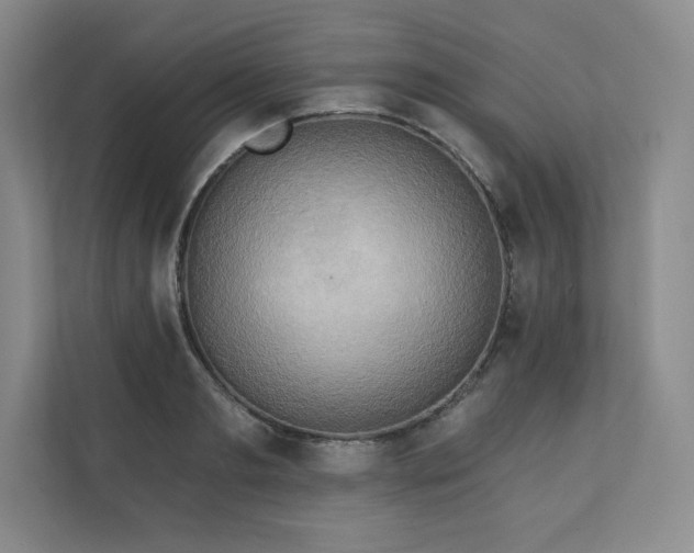 X0000111240893200907021409