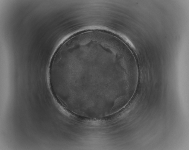 X0000111240895200907021409