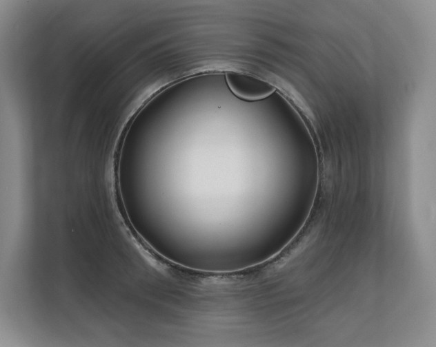 X0000111240898200907021409