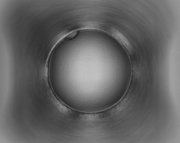 X0000111240900200907021409