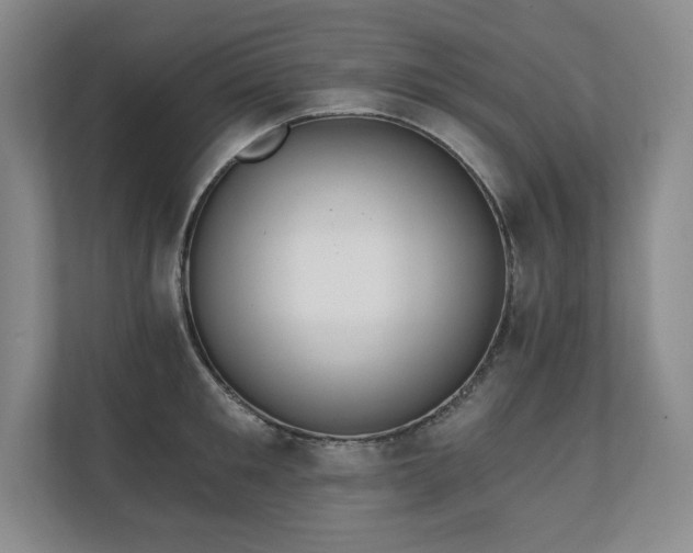 X0000111240901200907021409