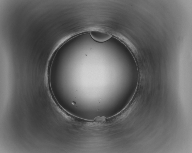 X0000111240902200907021409