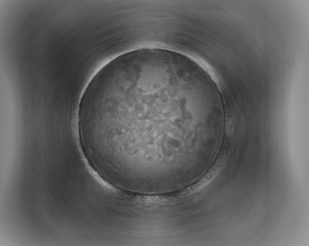 X0000111240903200907021409