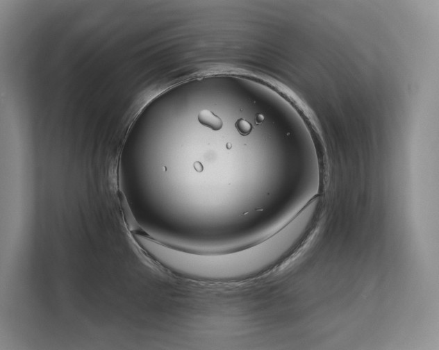 X0000111240905200907021409