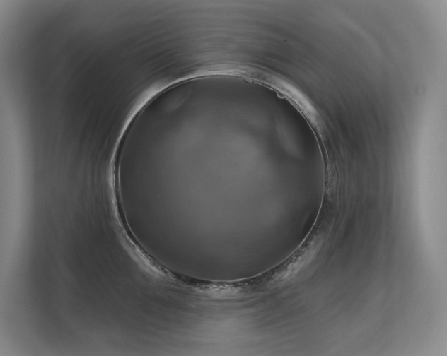X0000111240907200907021409