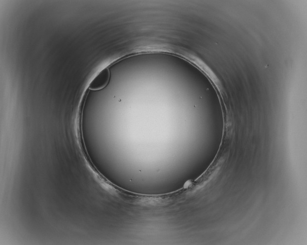 X0000111240909200907021408
