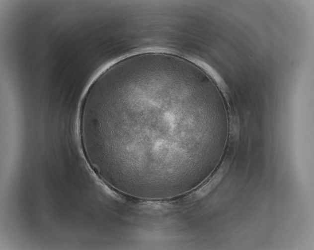 X0000111240910200907021408