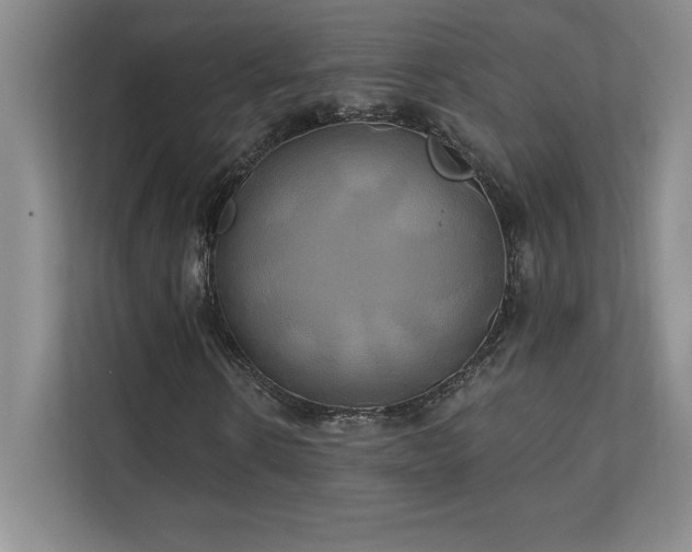 X0000111240914200907021408