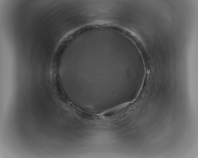 X0000111240920200907021408