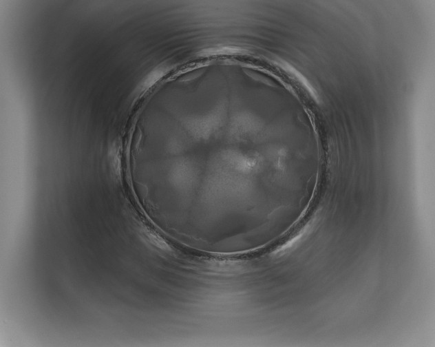 X0000111240921200907021408