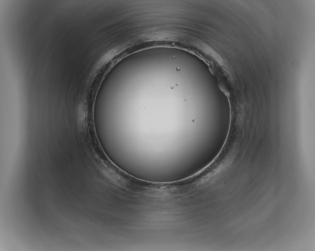 X0000111240922200907021408