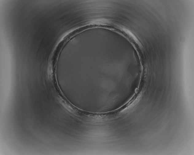 X0000111240923200907021408