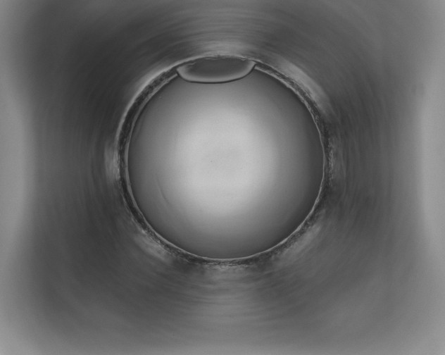 X0000111240924200907021408