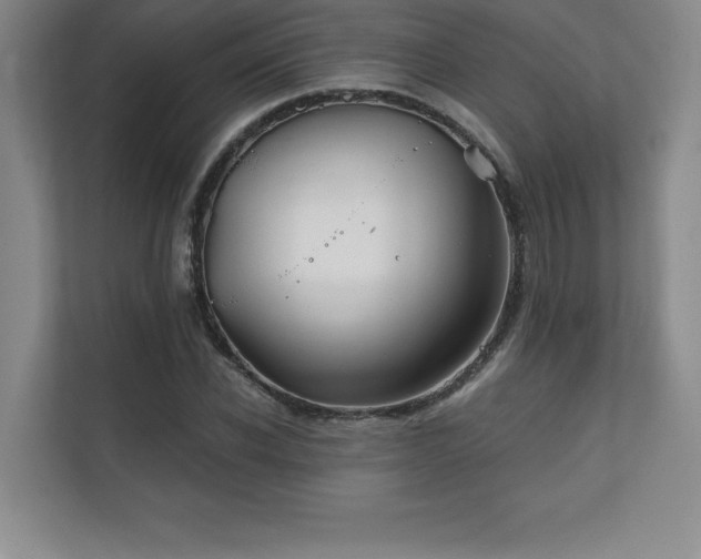 X0000111240926200907021408