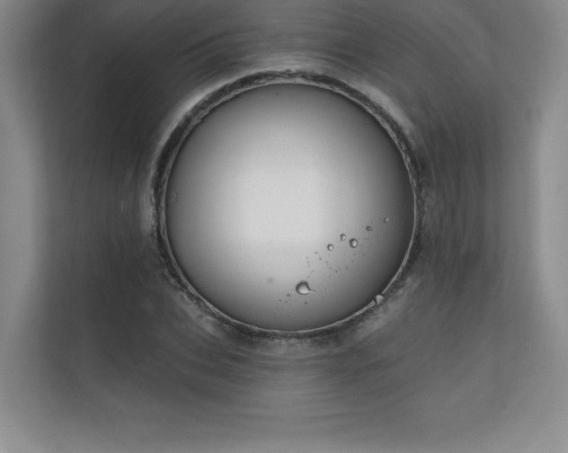 X0000111240927200907021408