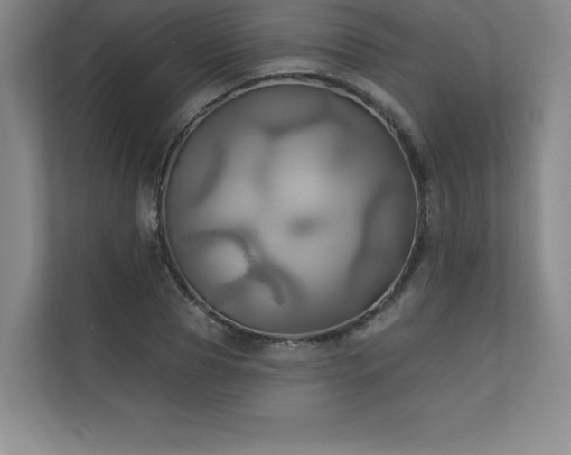X0000111240929200907021408