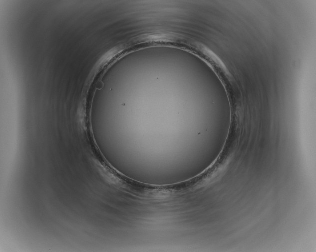 X0000111240930200907021408