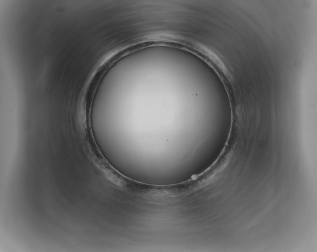 X0000111240931200907021408