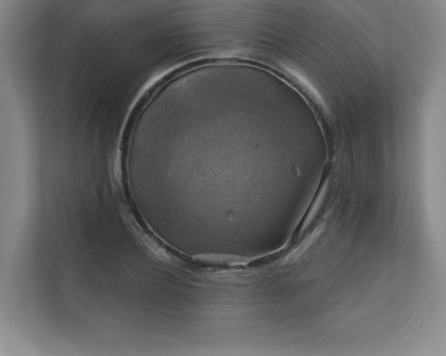 X0000111240932200907021408