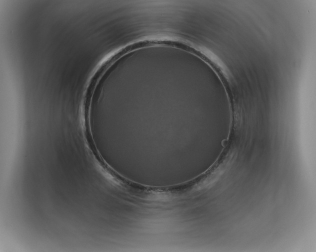 X0000111240935200907021408