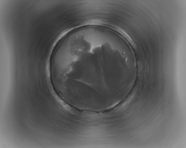 X0000111240939200907021408