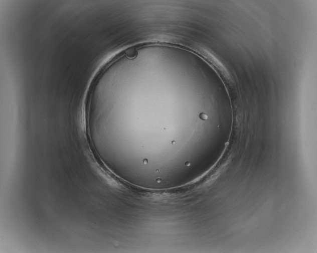 X0000111240940200907021408