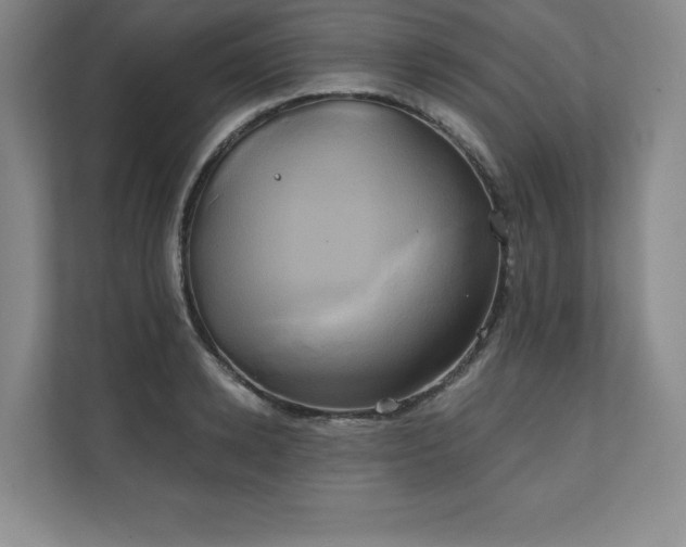 X0000111240942200907021408