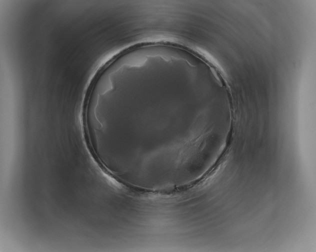 X0000111240943200907021408