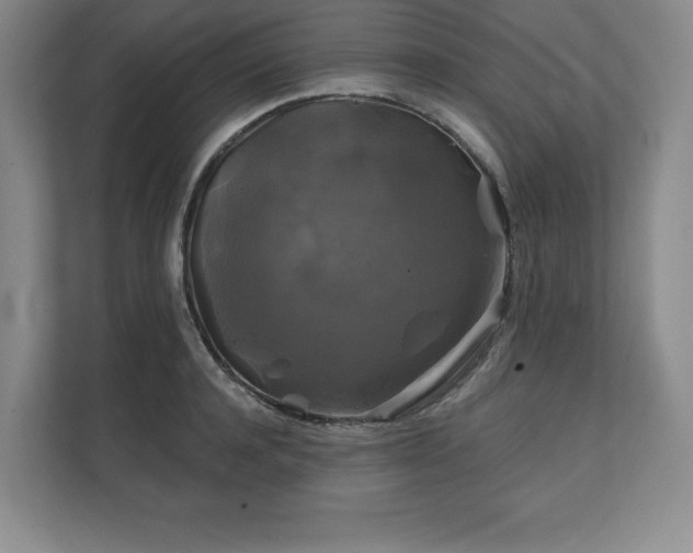 X0000111240944200907021408