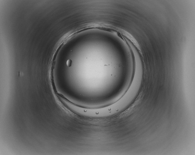 X0000111240946200907021408