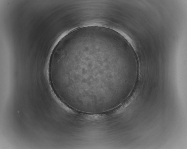 X0000111240949200907021408
