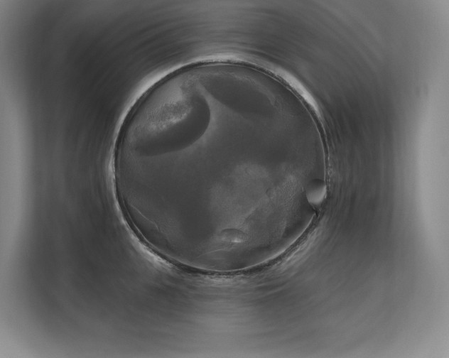 X0000111240951200907021408