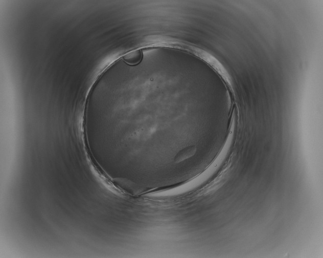 X0000111240954200907021408