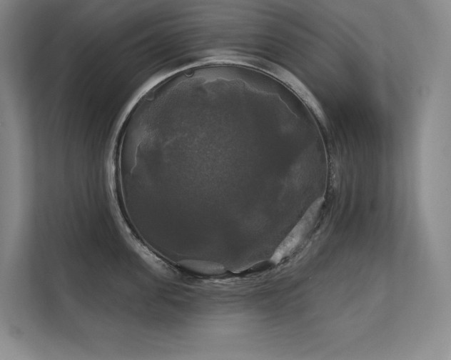 X0000111240955200907021408