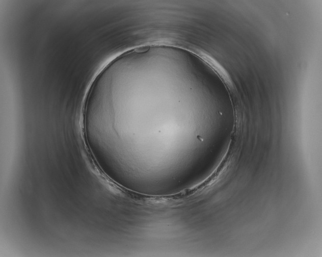 X0000111240956200907021408