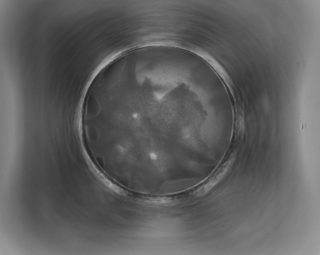 X0000111240957200907021408