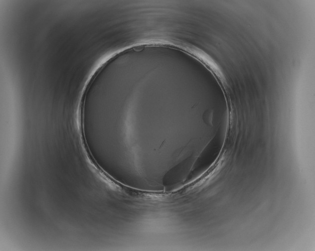 X0000111240958200907021408