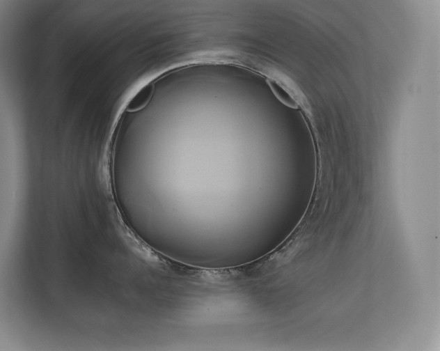X0000111240960200907021408