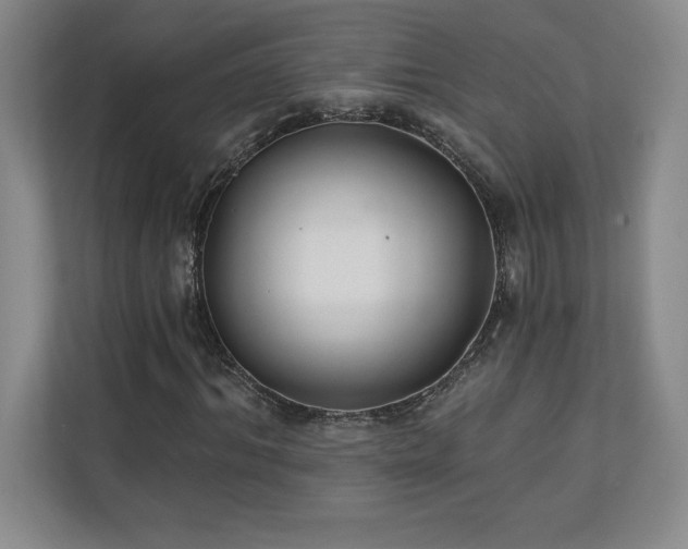 X0000111240964200907021408