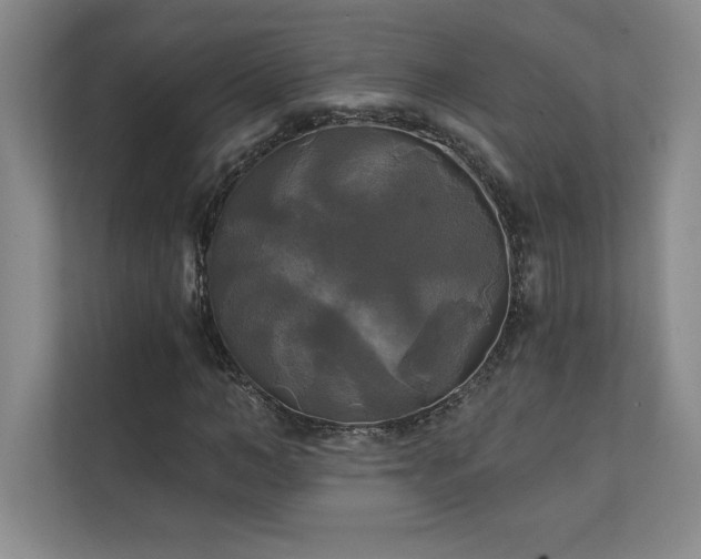 X0000111240966200907021408