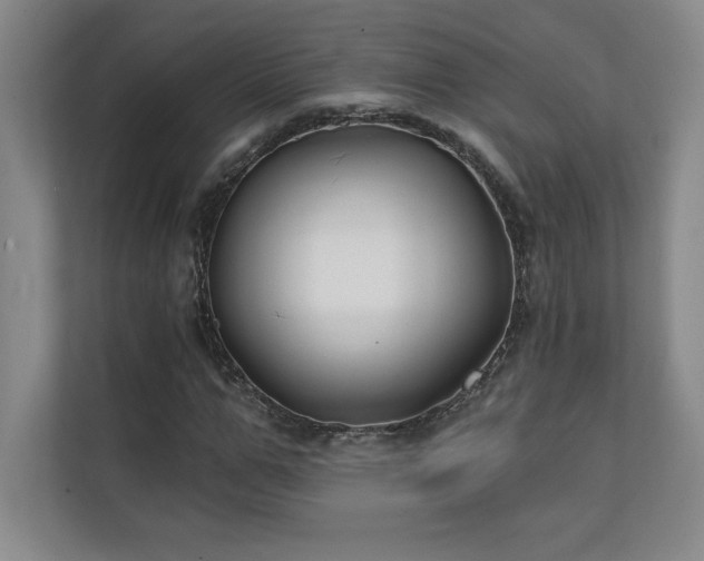 X0000111240967200907021408