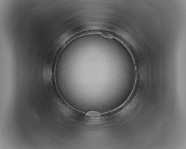 X0000111240969200907021408
