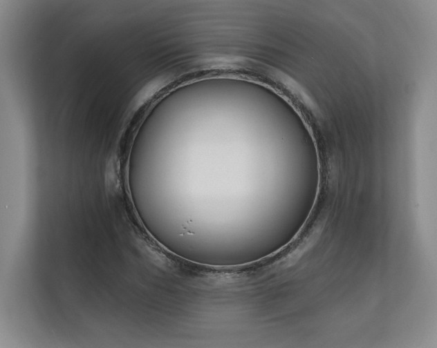 X0000111240970200907021408