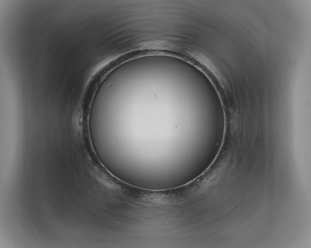 X0000111240971200907021408