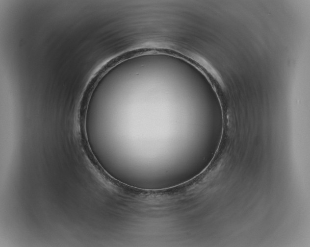 X0000111240972200907021408