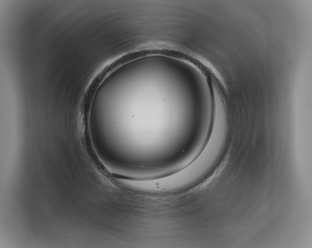 X0000111240973200907021408